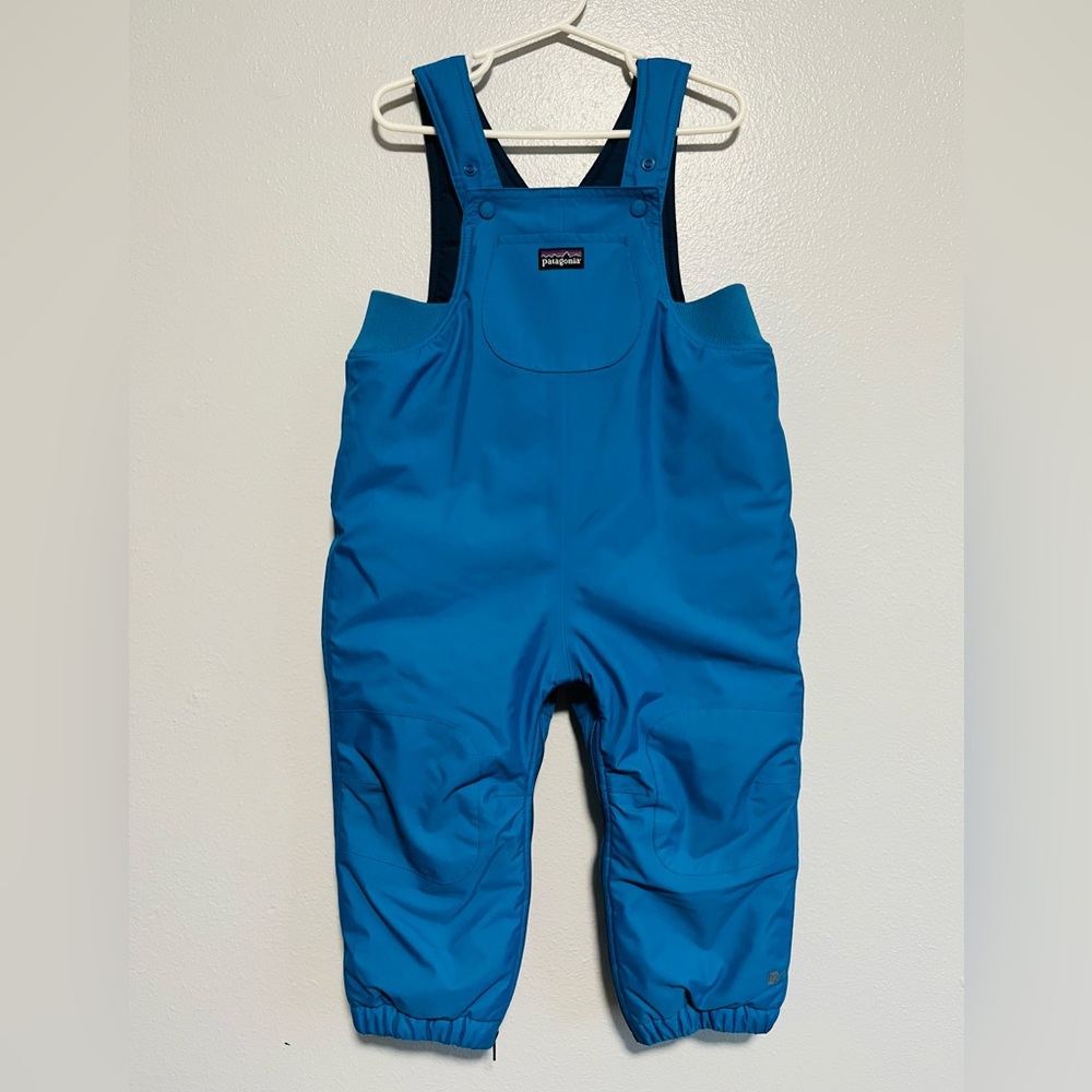 Patagonia Puff Rider Snow Overalls
